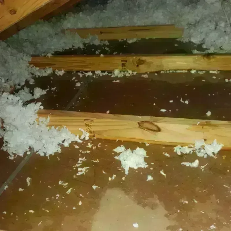 Attic Water Damage in Saint Bernard, OH