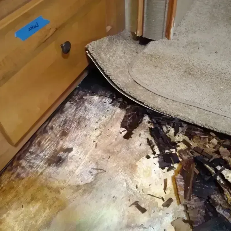 Wood Floor Water Damage in Saint Bernard, OH